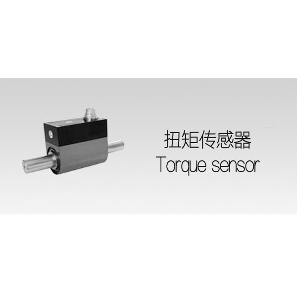 Torque sensor